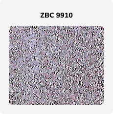 ZBC 9910