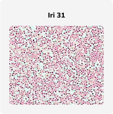 Econo Range - Image 19