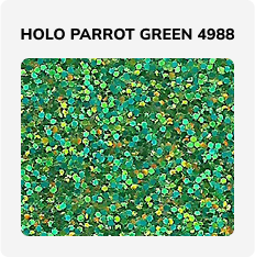 NLFG Holograms - Image 19