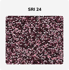 SRI 24