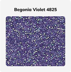 Chameleon Series - Image 7